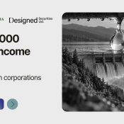 professional corporations and passive income